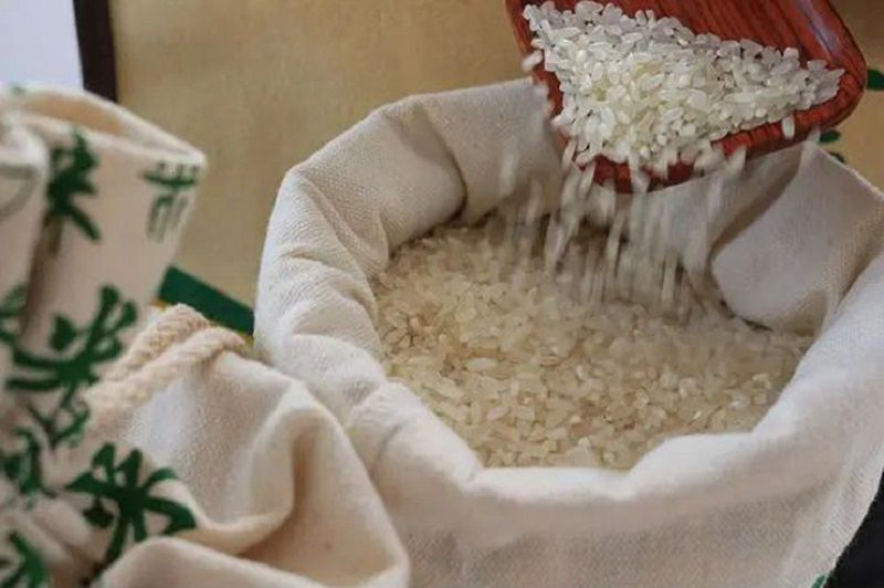 Bật Mí Các Phương Pháp Bảo Quản Gạo Đúng Cách Ngừa Mọt Rất Dễ Làm