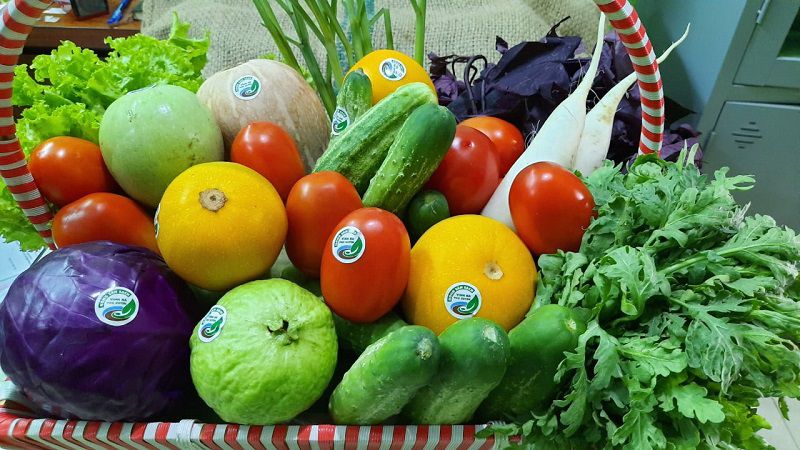 Tìm Hiểu Bản Chất Của Rau Củ Hữu Cơ Và Rau Thông Thường