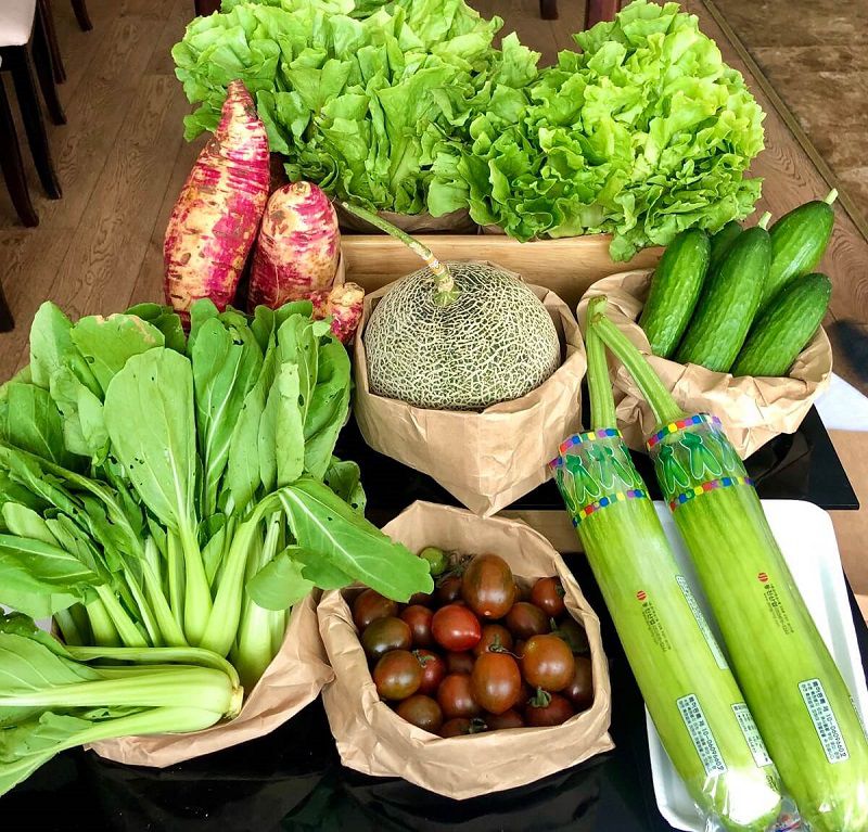 Điểm Khác Biệt Cốt Lõi Giữa Rau Củ Hữu Cơ Và Rau Thường