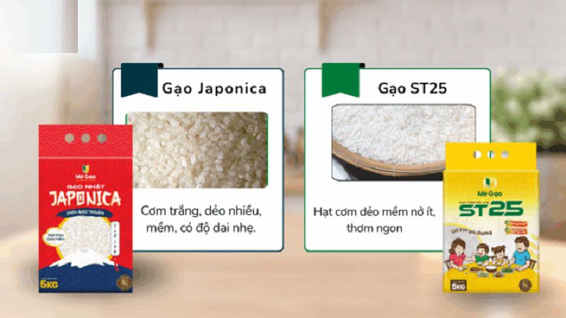 Tổng quan về gạo Japonica và gạo trắng thường