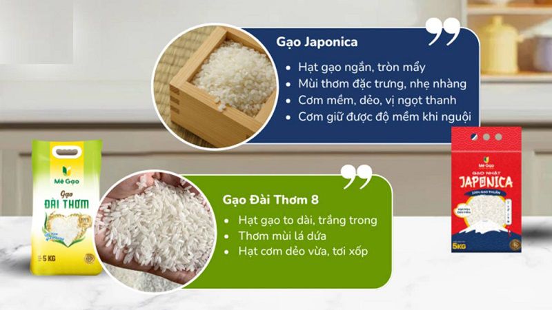 Phân tích chi tiết sự khác biệt giữa gạo Japonica và gạo trắng hạt dài